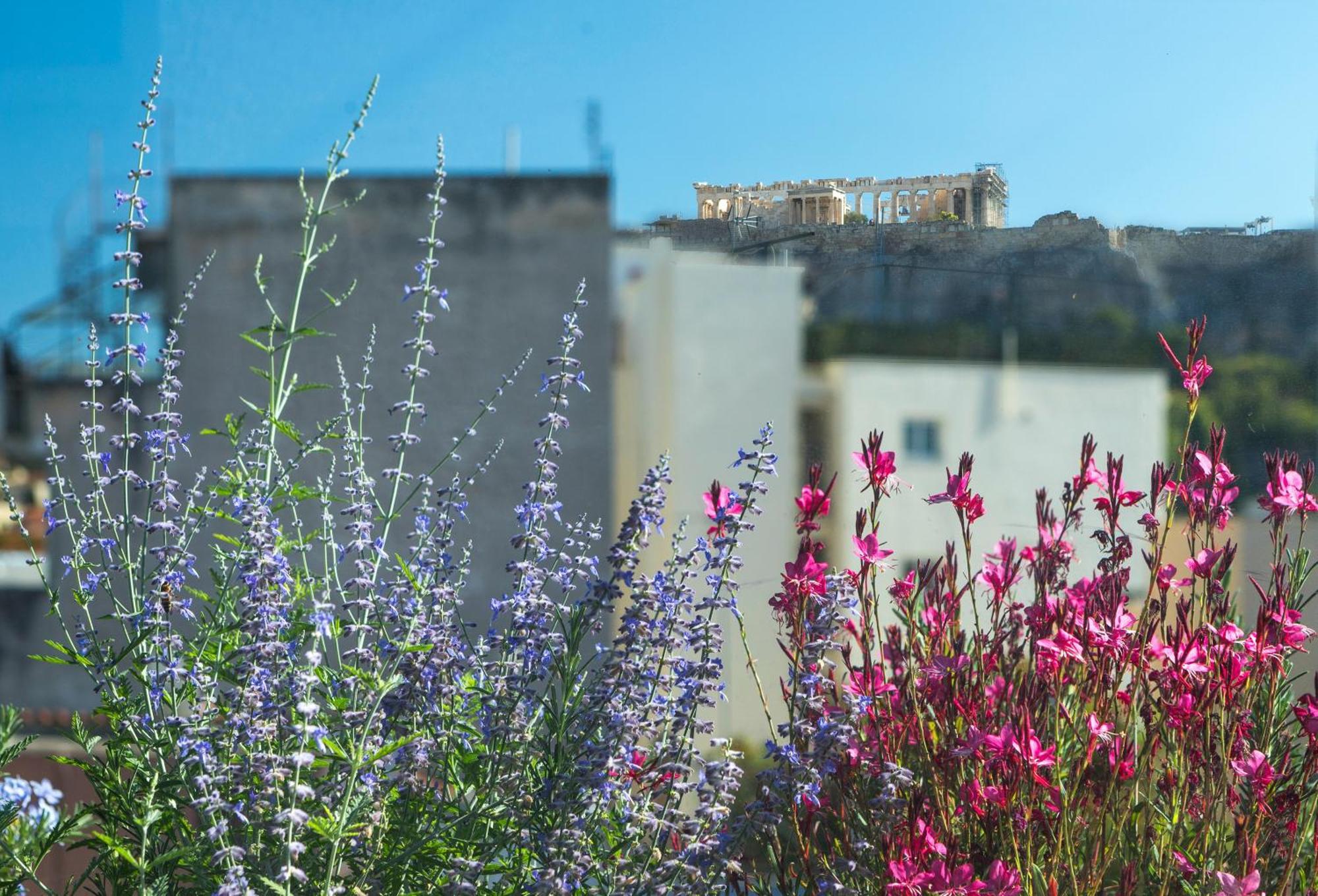 The Residence Christokopidou Hotel & Spa Athen Eksteriør bilde